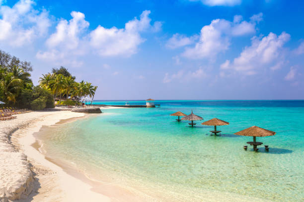 Bali Packages for Couples
