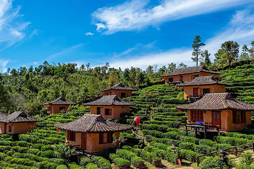 Darjeeling Sikkim Tour Packages