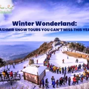Kashmir Tour Packages