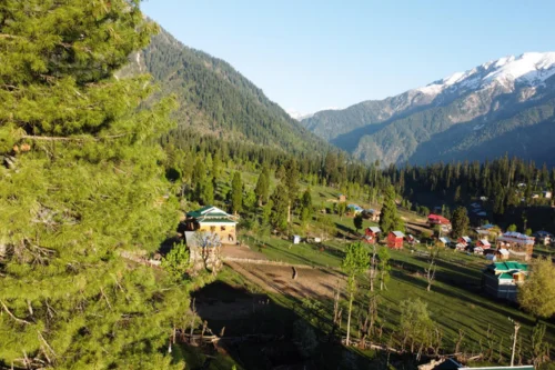 Darjeeling Sikkim Tour Packages