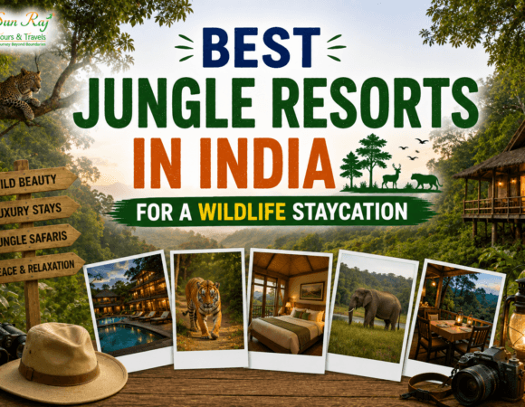 Best Jungle Resorts in India for a Wildlife Staycation