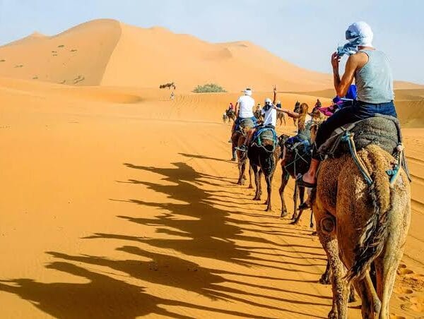 Morocco Tour Packages: 8-Night Imperial Cities, Chefchaouen & Sahara Desert Premium Circuit